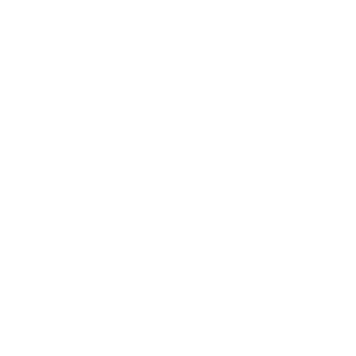 Secure Development Lifecycle